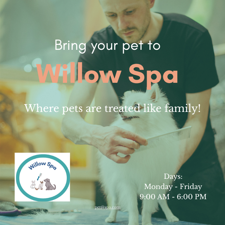 page 5 of Willow Pet Spa